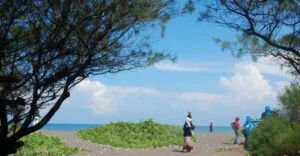 Pantai Goa Cemara, Pemandangan Indah di Tepi Selatan Yogyakarta