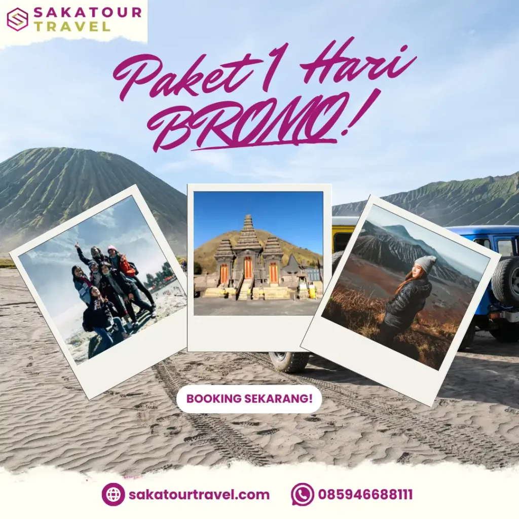 paket wisata 1 hari bromo one day tour bromo